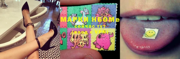 шишки Нея