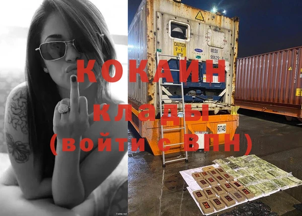 индика Новокубанск