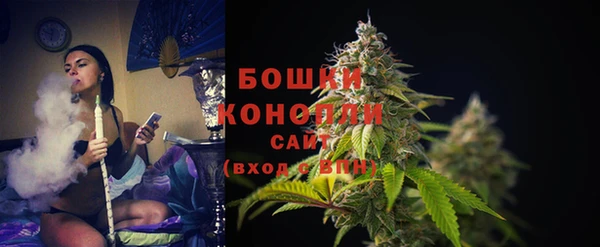 шишки Нея