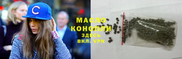 индика Новокубанск