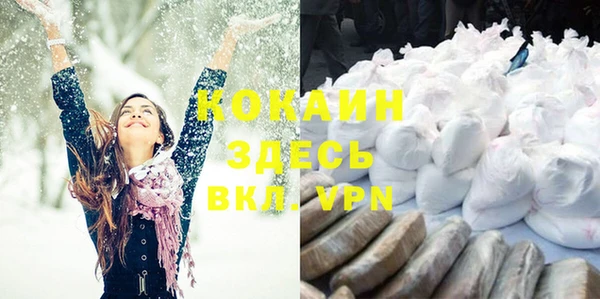 шишки Нея
