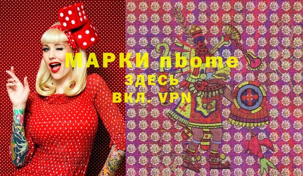 индика Новокубанск
