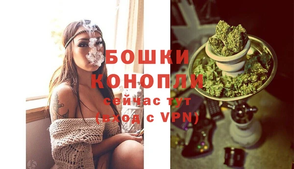 ALPHA PVP Новодвинск