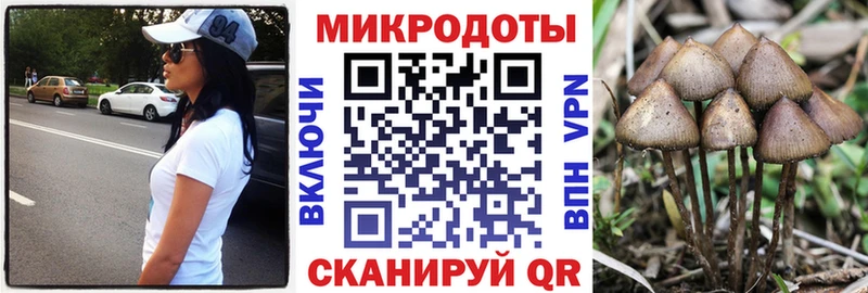 гидра как зайти  Анадырь  Псилоцибиновые грибы Magic Shrooms 